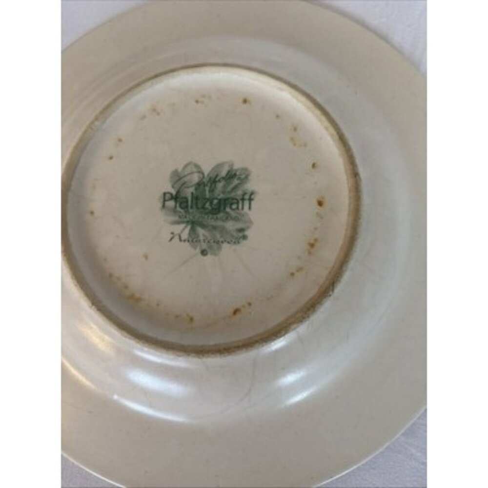 Set Of 2 Pfaltzgraff  Portfolio Naturewood 8" Salad Side Plate Herb Watering Can - Picture 6 of 6